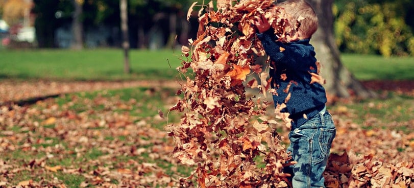 stay active_little boy throwing leaves