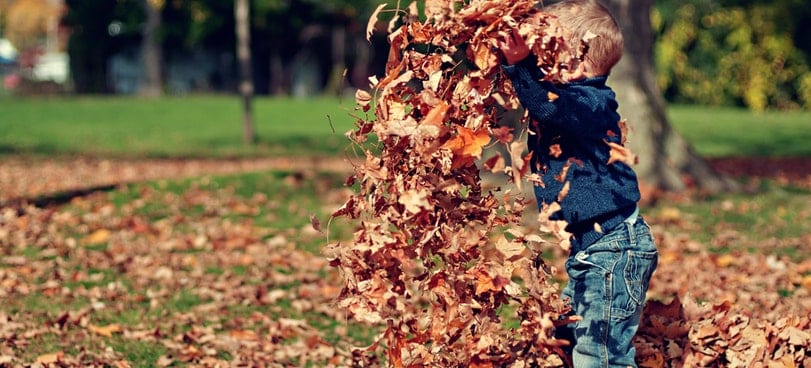 stay active_little boy throwing leaves