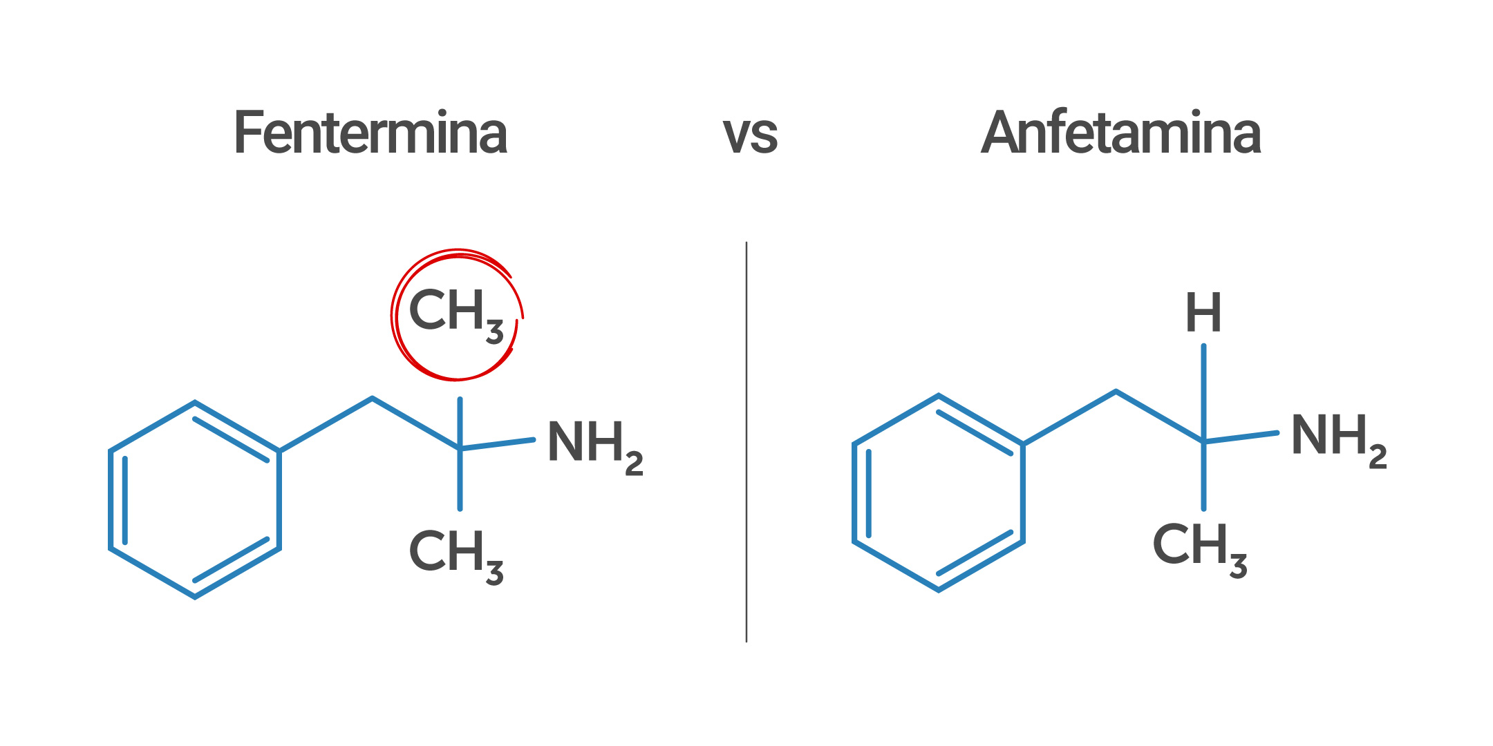 Fentermina vs Anfetamina