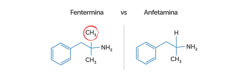 Comparación de estructuras fentermina vs anfetamina